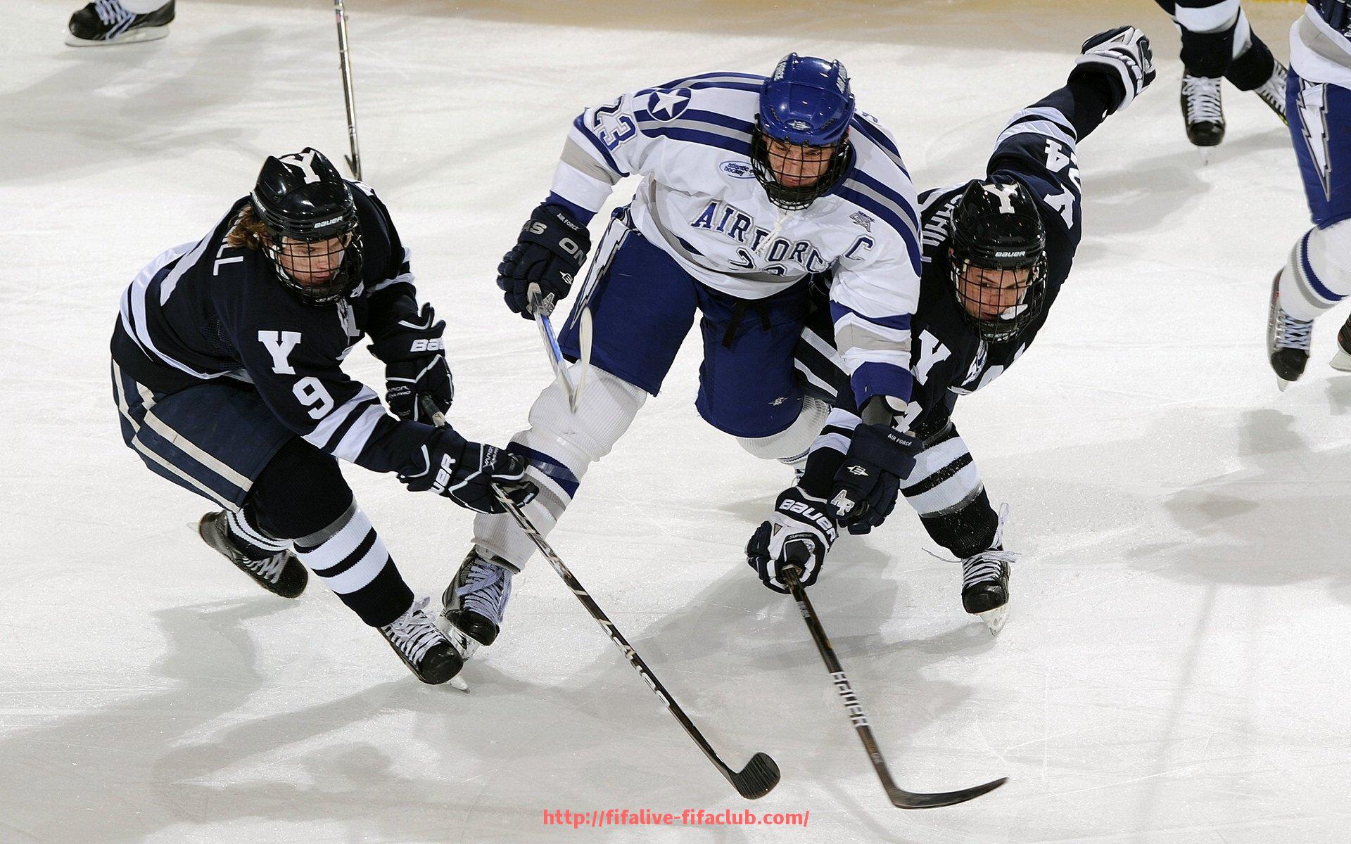世俱杯直播-宁波绿科健身器材品牌介绍及市场反馈
