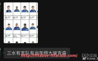 世俱杯直播-亚特兰大球队是如何晋级意甲的，晋级过程有何亮点？（意甲亚特兰大怎么进了欧冠）